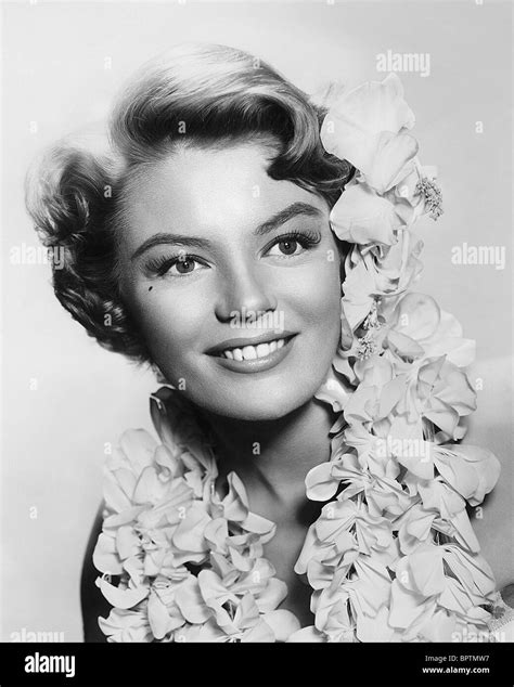 sheree north photos|Sheree north Stock Photos and Images